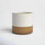 Seymour Handmade Ceramic Pot Planter-907286177-907286176
