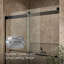 Levity Plus Less Sliding Bath Door, 61-9/16 In. H X 56-5/8 - 59-5/8 In. W, With 5/16 In.-Thick Crystal Clear Glass-400694524