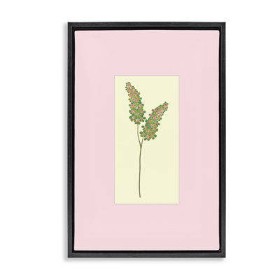 Cadre flottant Herb Sprig sur rose, design par Pooja Dave