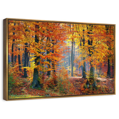 Arbres d'automne