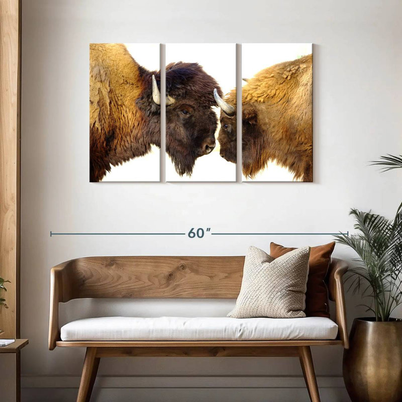 Bramison Bisons I, H 28 po x l 45 po