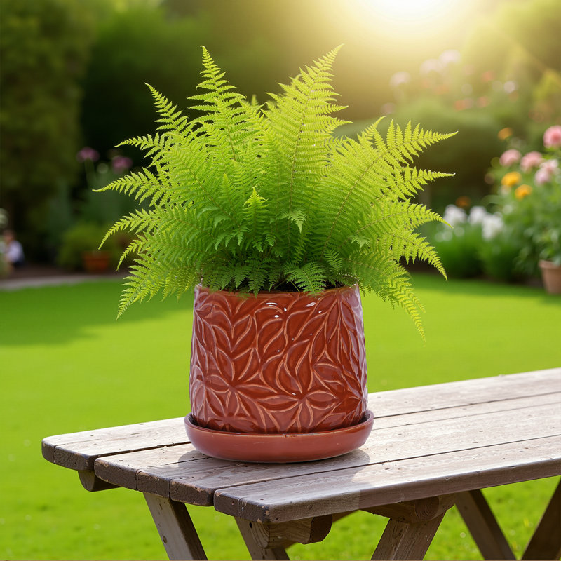 8" Outdoor Indoor Modern Ceramic Pot Planter Decorative Planter with Drainage Hole Patio Flower Pot for Garden Living Room Set of 2