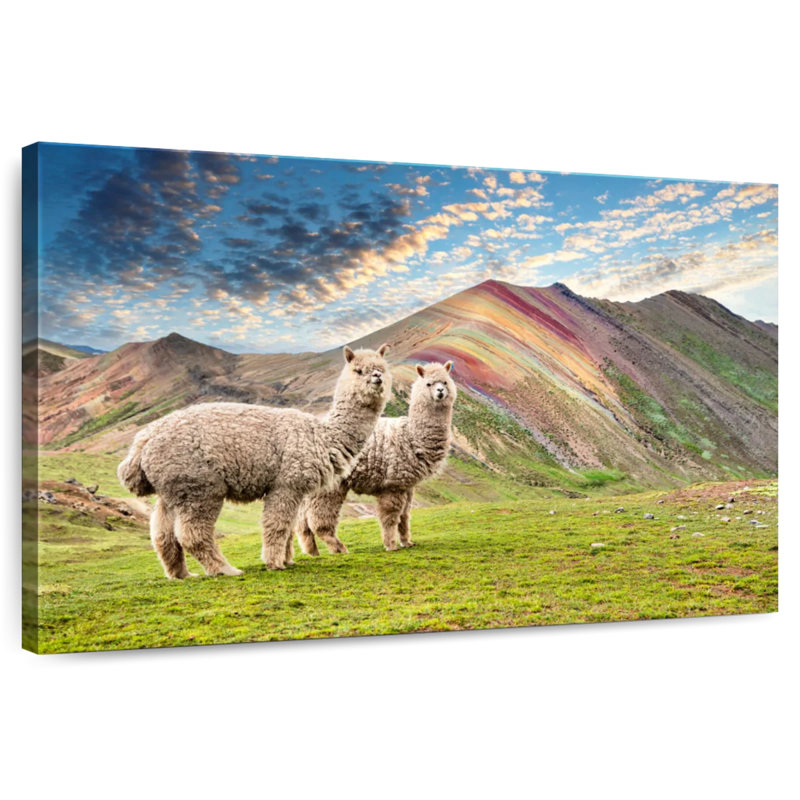 Brampt couleurs du Pérou - Palcoyo Alpacas, H 16 po x l 24 po