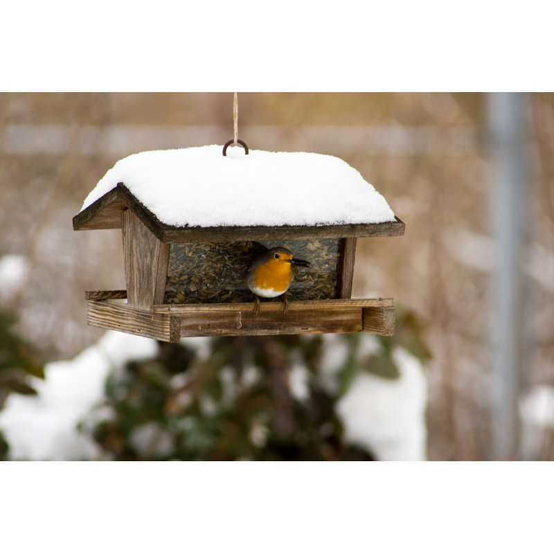 Mangeoire à oiseaux par Focuseye, H 12 po x l 18 po