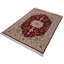 Necdet Oriental Area Rug in Burgundy