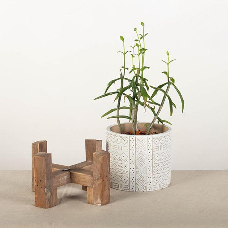 Support à plantes en bois, Brun