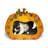 Bobbie-Joe 18'' H Cat Tree