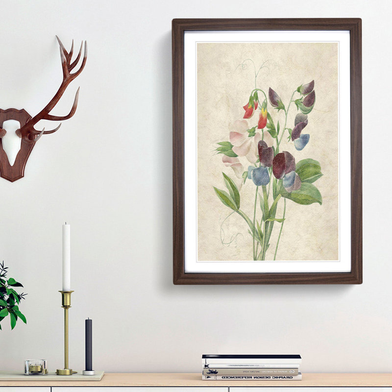 Sweet Pea Flowers by Pierre-Joseph Redoute - Picture Frame Art Print, Walnut Framed, 36cm H x 27cm W x 2cm D