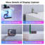 Display Cabinet-595366877
