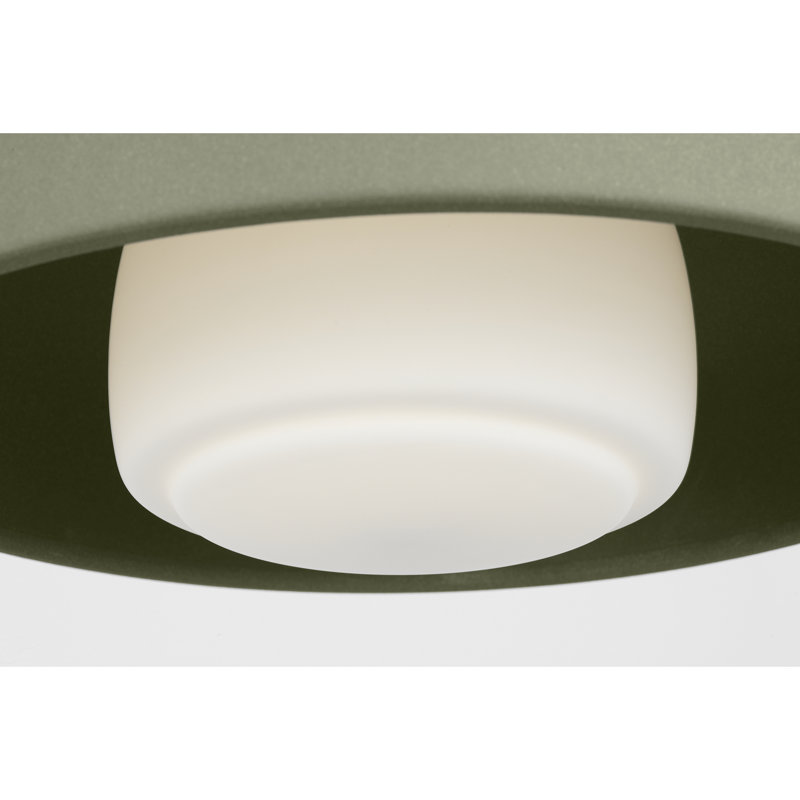 Richard June Transitional Liora Chandelier, Sage, Aged Iron