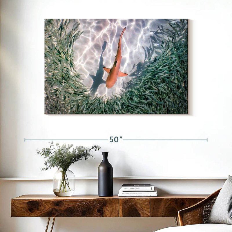 Brampt Baby Blacktip Reef Shark, 26" H x 39" W