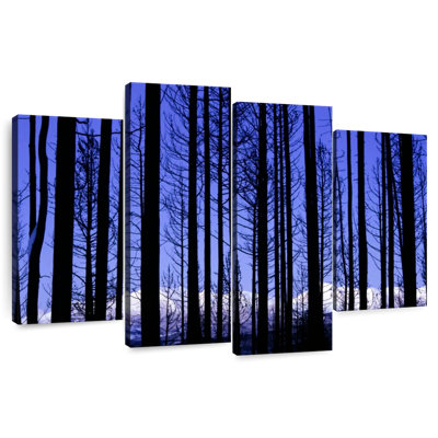 Arbres du parc national Harnek Glacier