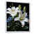 Cadre flottant blanc