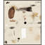 Rustic Chaos 1 Print