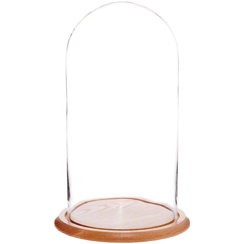 Cloche en verre Vucciria, Base en chêne, H 23 po x l 11,75 po x P 11,75 po
