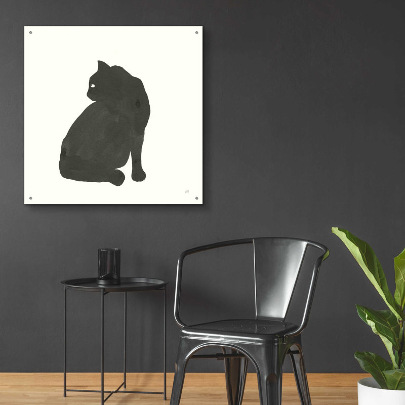 «Black Cat IV» par Chris Paschke