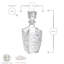Dedalo Whisky Decanter & Glasses