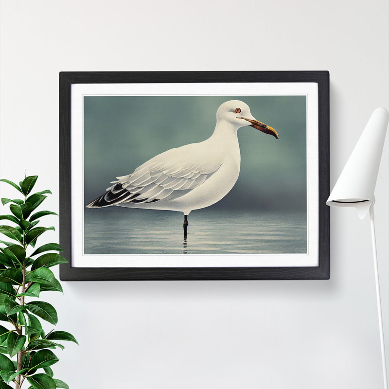 Seagull Portrait Vol.4 - Single Picture Frame Print, Black , 34cm H x 46cm W x 2cm D