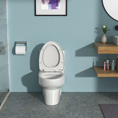 Ceramic Toilet With Powerful Dual Flush Performance & Quiet Seat One Flushing Function Pad