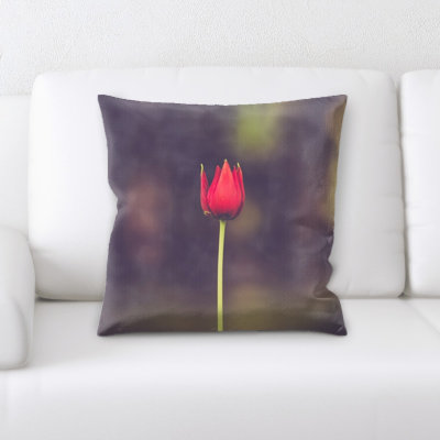 Microsuede Reversible Throw Pillow