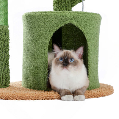 Arbre à chat cactus 32 pouces Oasis Series