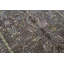Shah Wool Oriental Area Rug