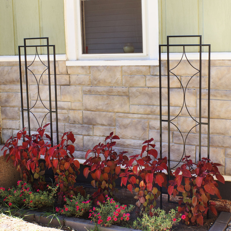 Abellas-Bauzo 2pc Steel Trellis, 60"H x 16"W x 0.5"D