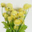 Plastic, Silk Artificial Arrangement-106401569