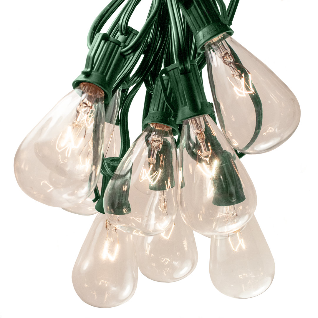 Edison String Lights Outdoor 25 - Bulb 25'' Plug-in String Light Hometown Evolution, Inc. Cord 