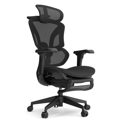 Acgam Ergonomic Office Chair With 4d Adjustable Armrest, Lumbar Support, Adjustable Headrest, 360° Swivel Design by Inbox Zero