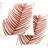 Floral Feather Reversible Throw Pillow