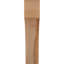 Attelle de genou Westlake-29310046-31230610-31230058