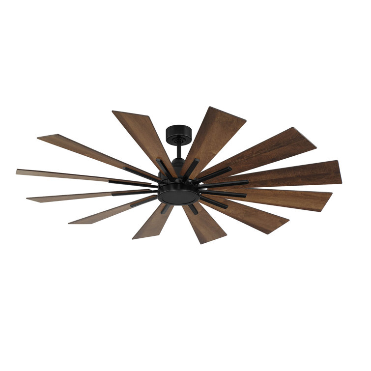 Archibald 60'' Ceiling Fan with LED Lights