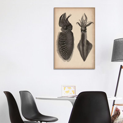 Octopus Squid Scientific 1 Piece Wrapped Canvas Wall Art
