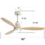 Ventilateur de plafond à 52 pales 52 po Nicola avec télécommande et ensemble d'éclairage inclus-1023329885