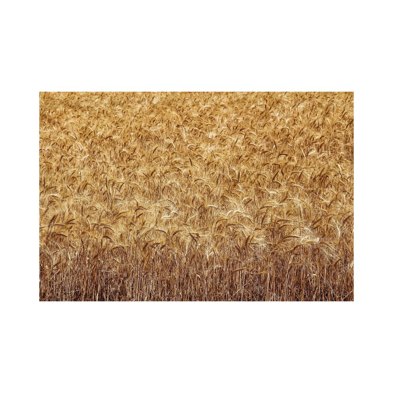 France Provence Valensole Composition III by Alexandre Venancio - Wrapped Canvas Print, 20.32 cm H x 30.48 cm W
