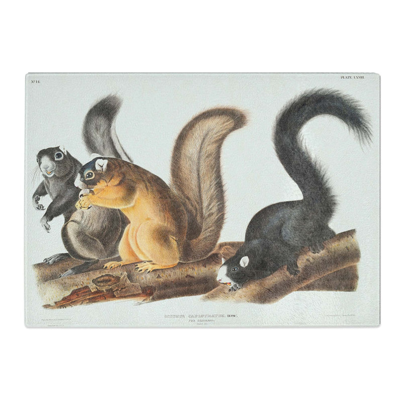 Tempered Glass Fox Squirrels by J.W. Audubon Chopping Board, 39 cm x 28.5 cm