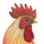 Pieu de jardin de ferme - coq