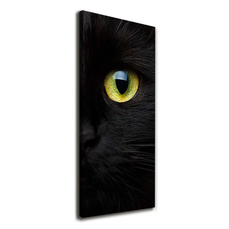 Cat's Eyes - Wrapped Canvas Print
