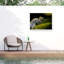 Animals Wall Decor-597586013