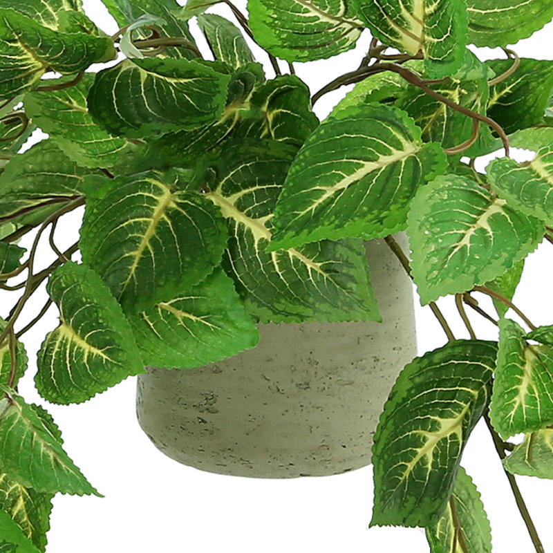 7.5'' Artificial Foliage Plant in Pot