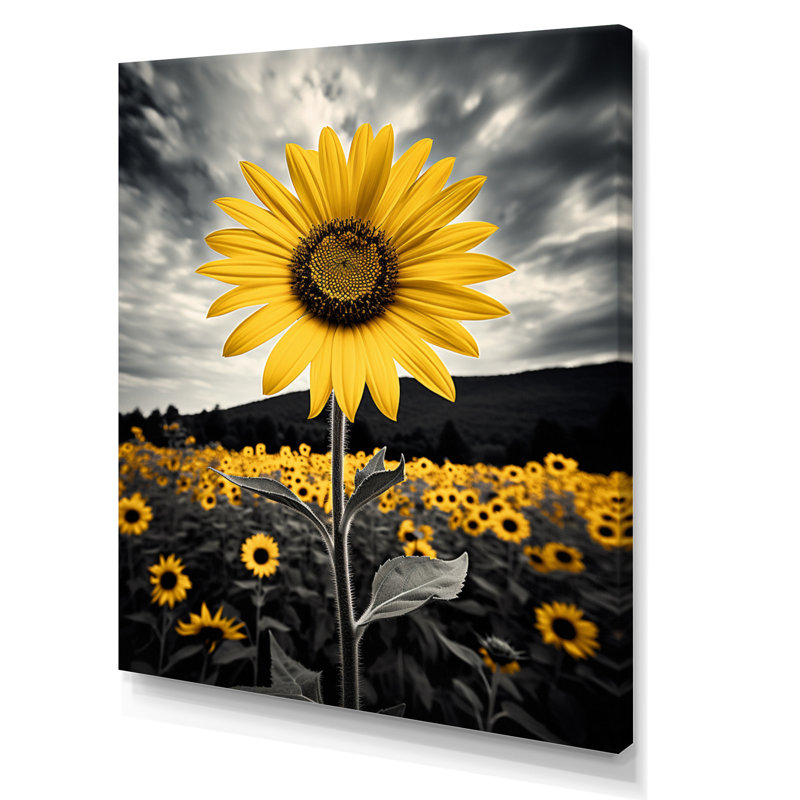 Averyanna jaune brun tournesol champ émergent de tournesol II - impression, H 32 po x l 16 po x P 1 po, Toile tendue