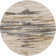 Bartee Abstract Indoor Rug