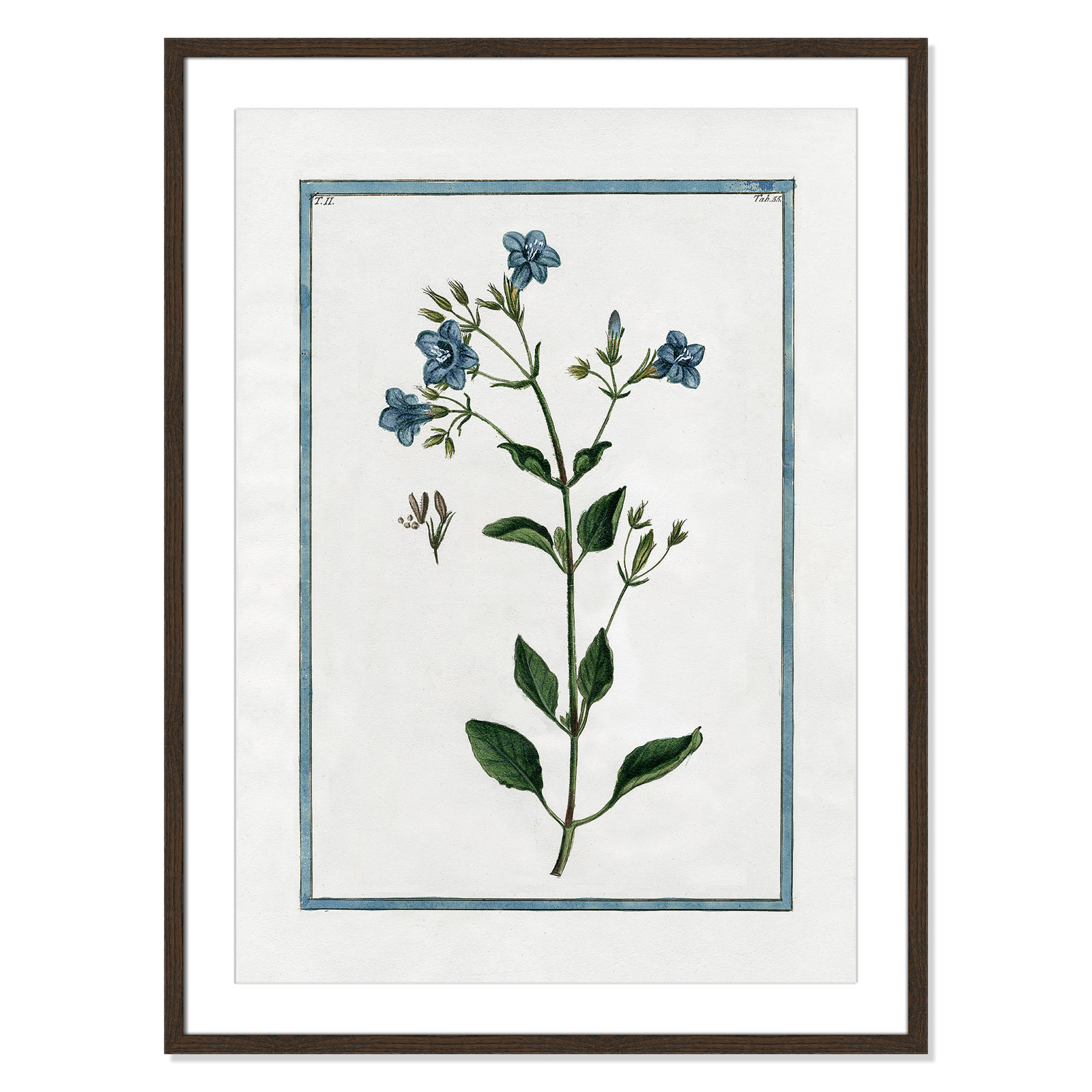 Colombe "Shabby Elegance Botanical II" Print, 25.5" W x 35.5" H, Walnut Framed