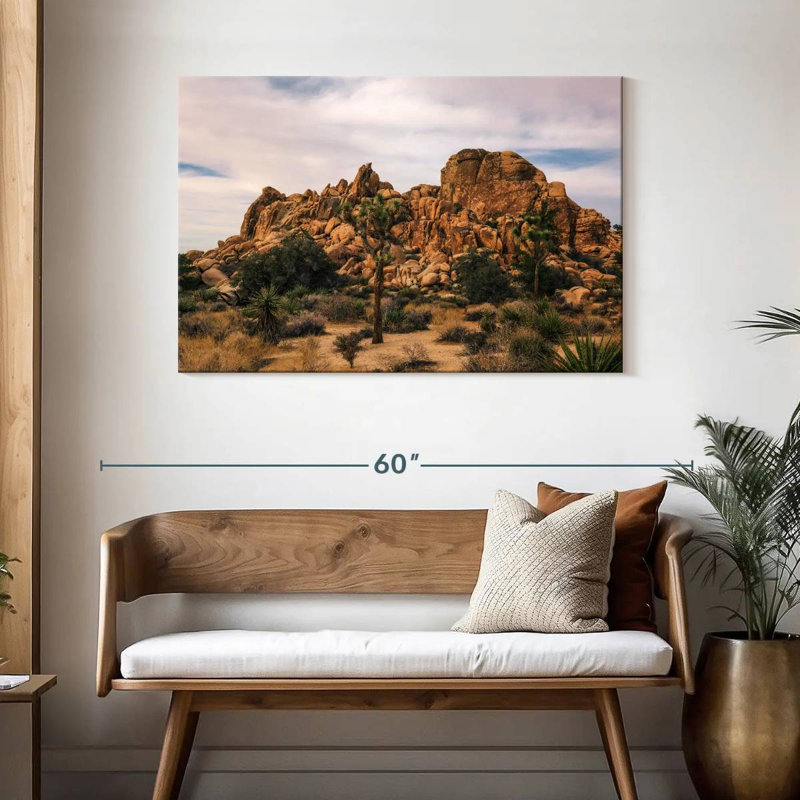 Nicci Joshua Tree, scène de désert, H 30 po x l 45 po