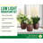 Live Low Light Houseplant Set