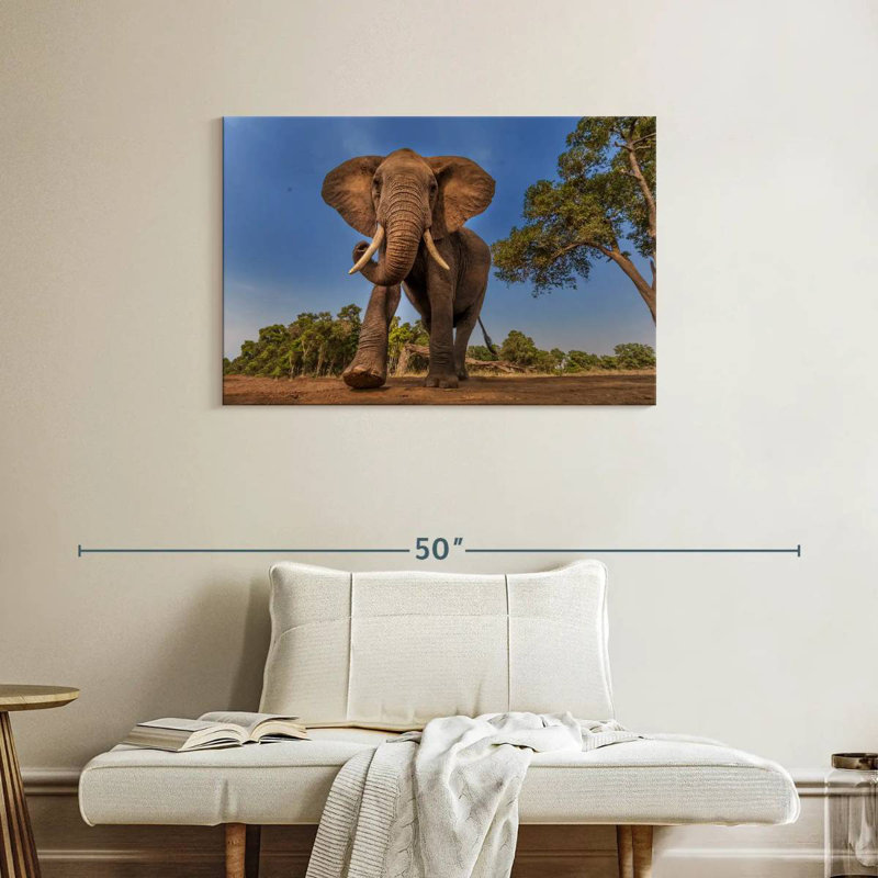 Brampt Playful African Elephant, 24" H x 36" W