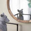 D20x1,5 "Transition Decor-1886182276