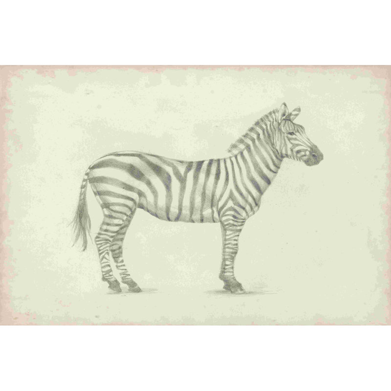 Croquis de zèbre par Ethan Harper - reproduction sur toile tendue, H 32 po x l 48 po