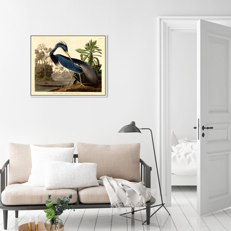 Louisiane héron - Impression sur toile, H 36 po x l 45 po, Toile encadrée, Blanc